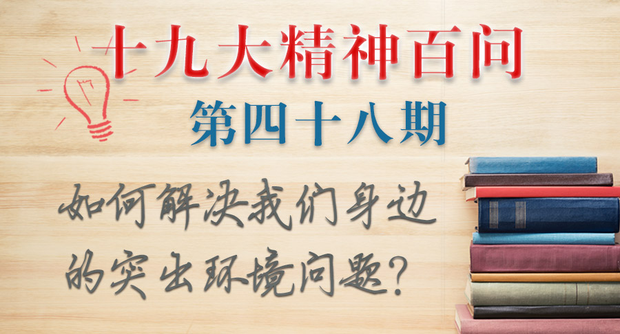 十九大48精神百问